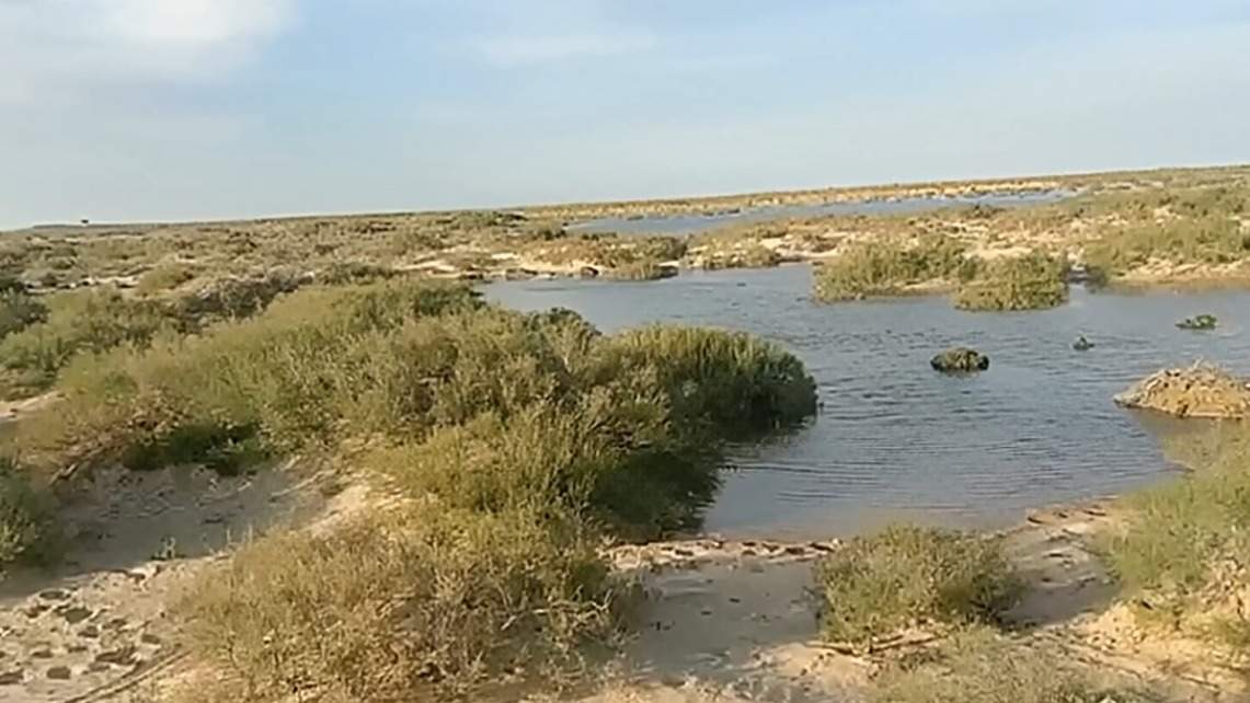 Источник-воды-для-села-Куйлыс-—-река-Тургай