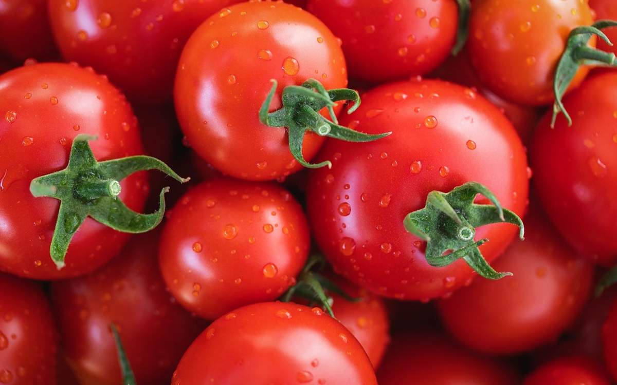 Обзор-цен-на-помидоры-в-Казахстане:-от-5900-до-500-тенге-за-кг