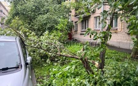 Двое-погибли-во-время-шторма-в-Санкт-Петербурге:-ребенок-и-женщина-стали-жертвами-урагана