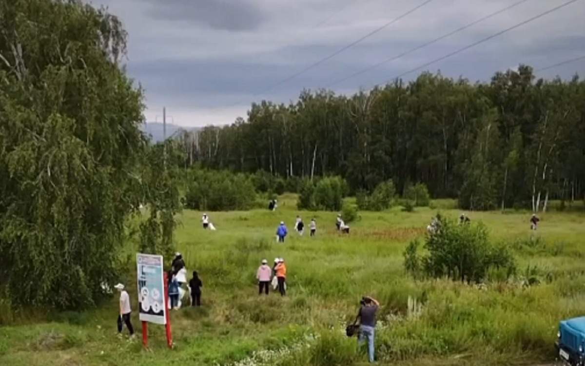 Из Мещанского леса в Петропавловске будет создан городской парк