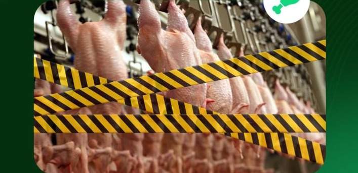 35 тысяч кг мяса птицы из Китая уничтожено в Казахстане за нарушения ветеринарных правил