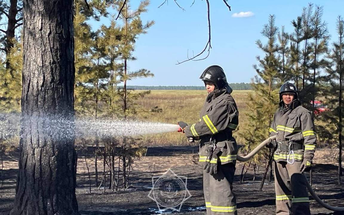 60-пожарных-локализовали-возгорание-в-«Семей-орманы»