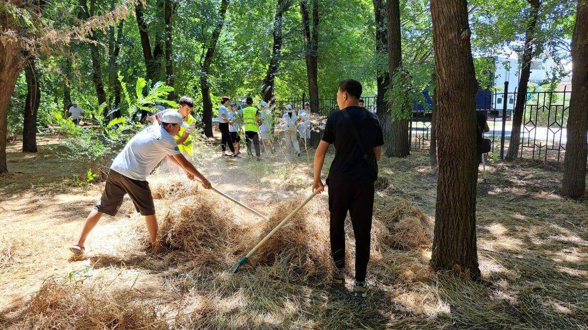 Таза Қазақстан: 256 тонн мусора собрали в первый день национальной декады ко Дню молодежи