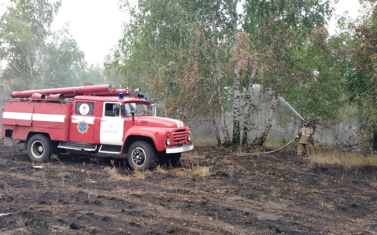 Количество-лесных-пожаров-снизилось-в-Костанайской-области