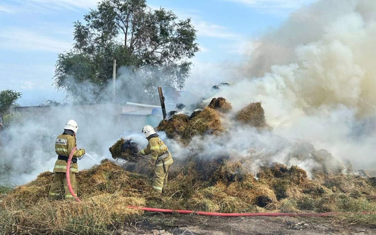 В ВКО и Алматинской области загорелась сухая трава и сено