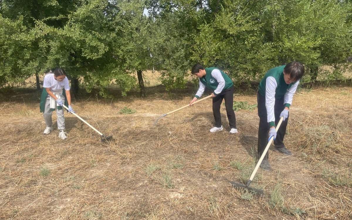 Таза Қазақстан: в Жамбылской области продолжается экологическая акция