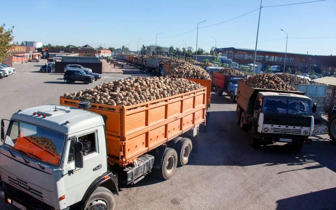 Аксуский и Коксуский сахарные заводы начали прием урожая свеклы