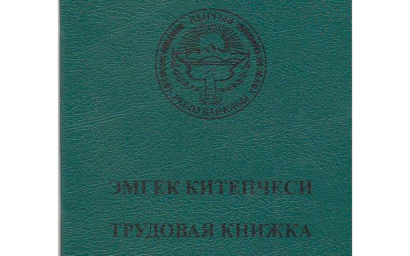 На электронные трудовые книжки планируют перейти в Кыргызстане