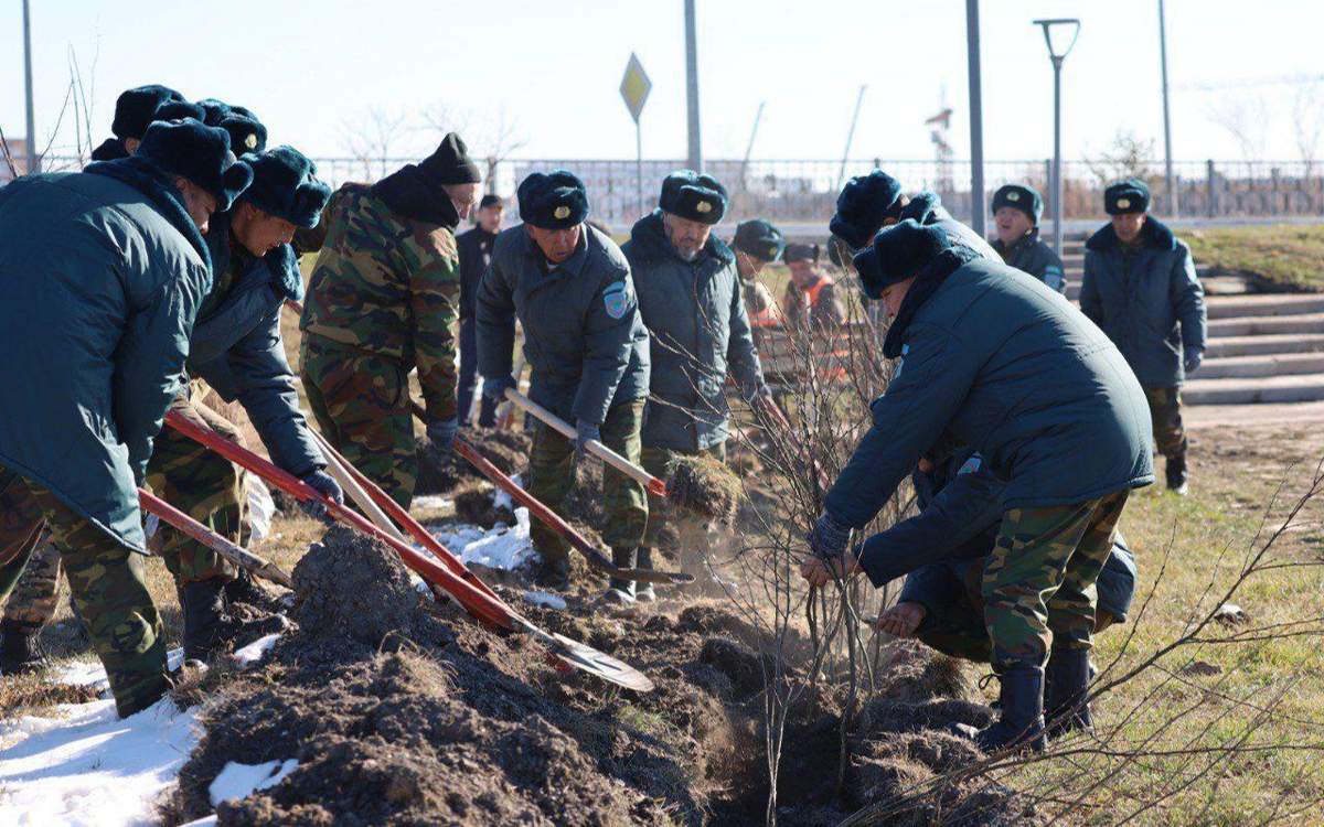 400 саженцев и 1500 сеянцев высадили на берегу озера в Кокшетау