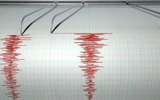 Землетрясение магнитудой 4,6 произошло в Кыргызстане