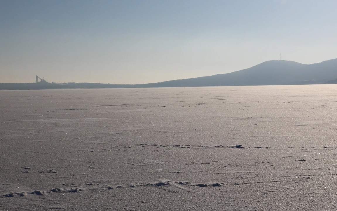 В-Бурабае-начали-«дойку»-рыб-сиговых-пород