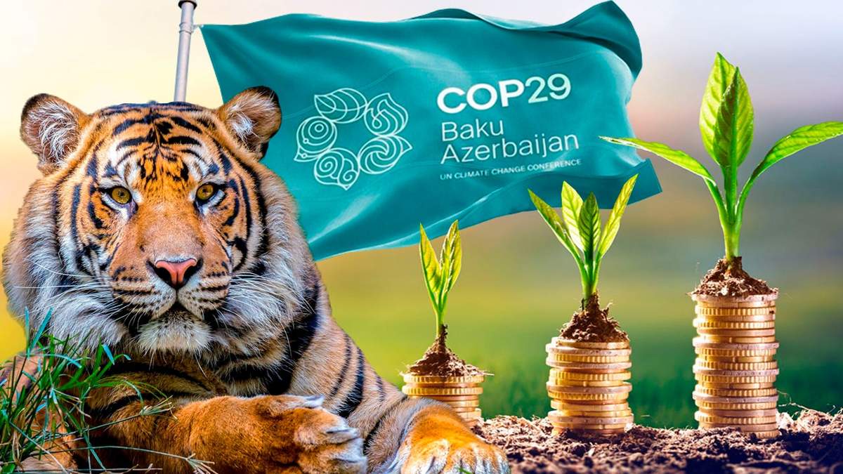 Участие в COP29, зеленые инвестиции, возвращение тигров: что пишут мировые СМИ о Казахстане