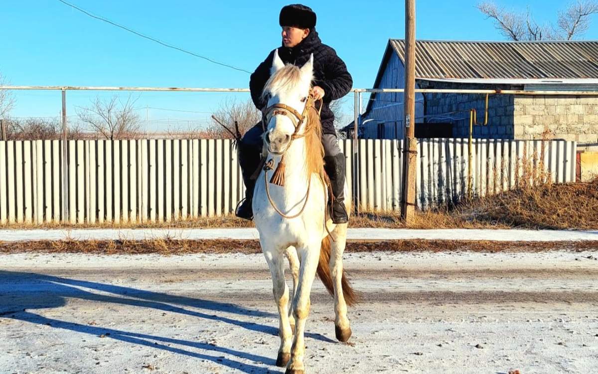 Катание на лошади и прогулки с тазы — сельчанин из ЗКО распространяет традиции в соцсети