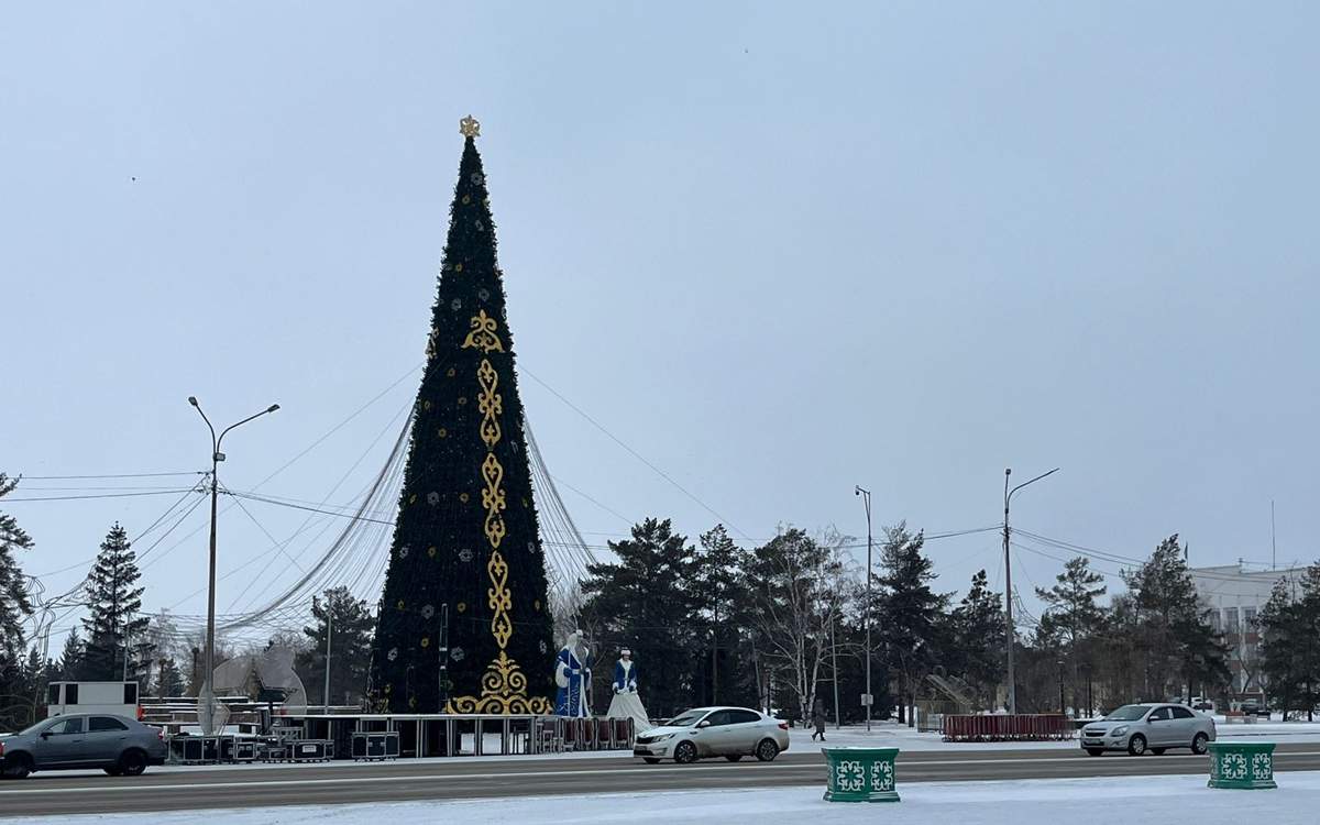 Спокойную ночь обещают синоптики в Новый год в Павлодарской области