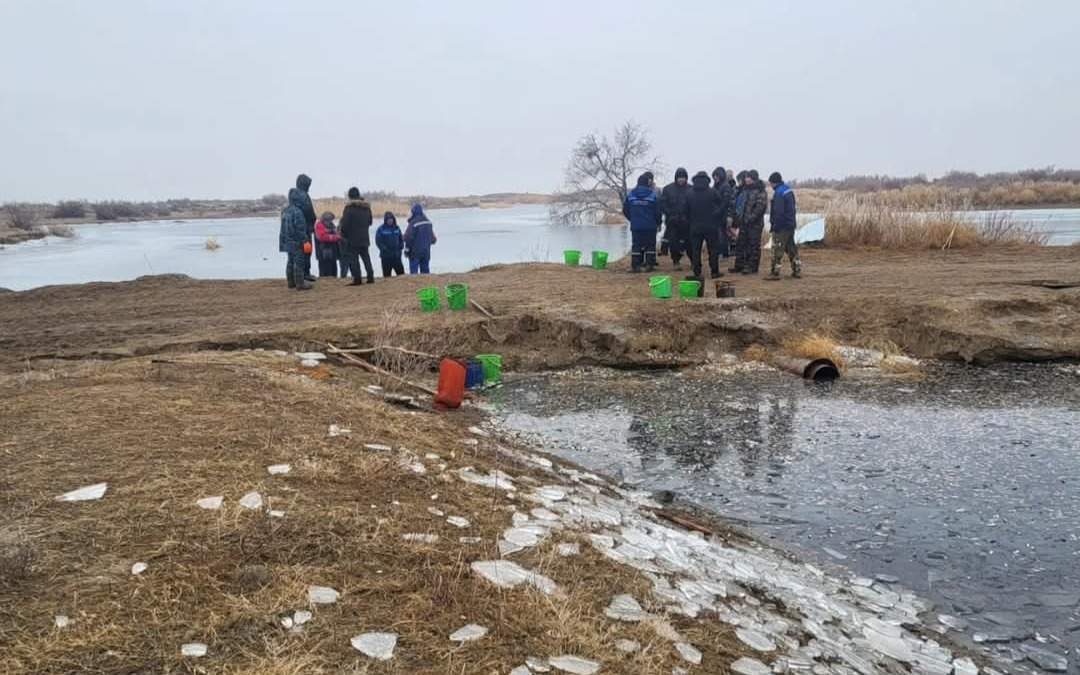 Молодь рыб спасают на водоканале Баксай в Атырау