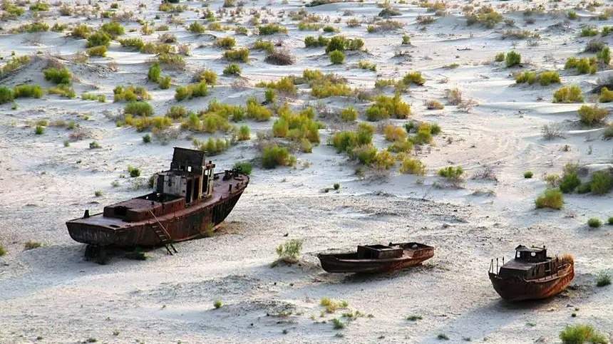 На осушенном дне Аральского моря восстановлены саксауловые насаждения на площади 475 тысяч га