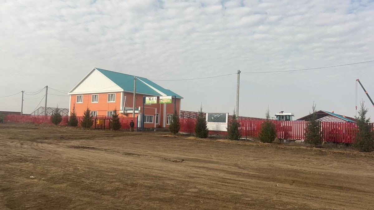В Западно-Казахстанской области растёт производство молока