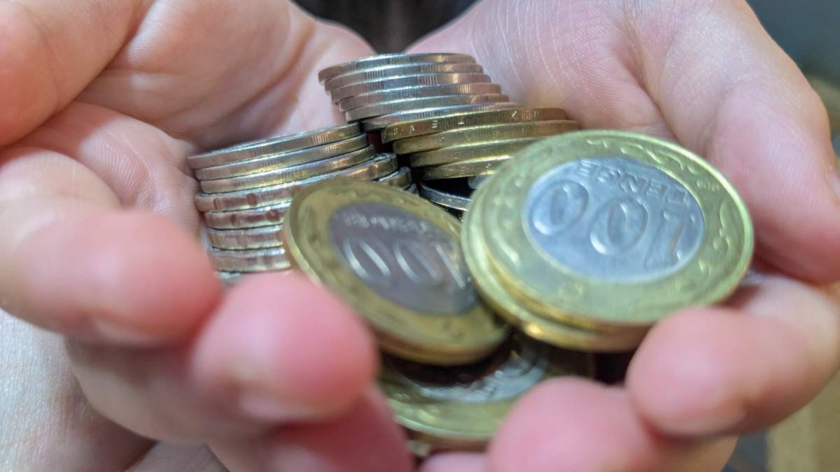 «Зависли в долгах»: переработчики ВКО ждут субсидий годами