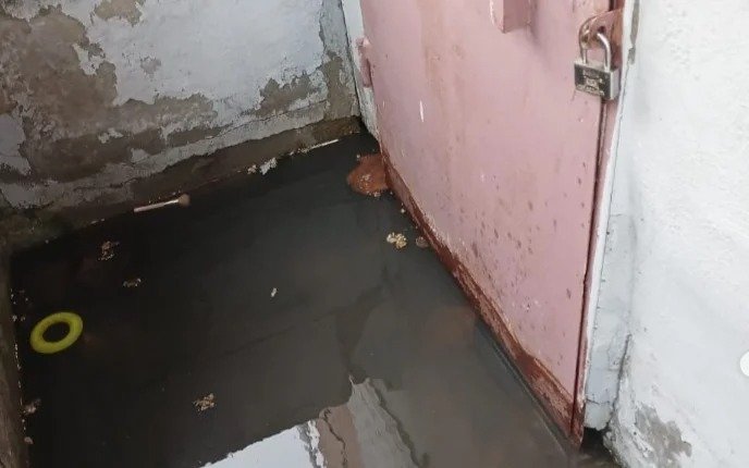 Жильцы петропавловской новостройки бьют тревогу