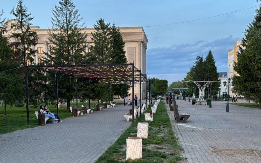 Акимат Уральска объяснил вырубку деревьев в городе