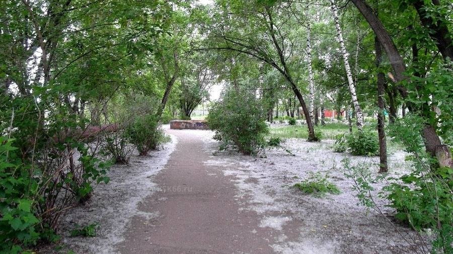 В Астане спасатели потушили возгорание тополиного пуха
