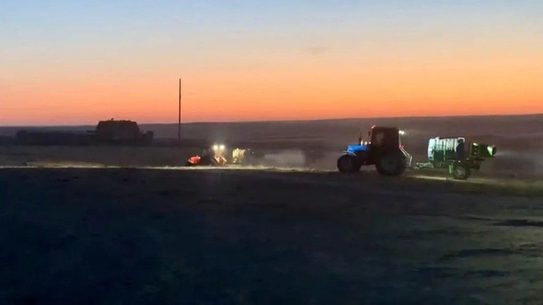 В-Туркестанской-области-из-за-жары-активизировались-саранчовые:-обработку-проводят-ночью