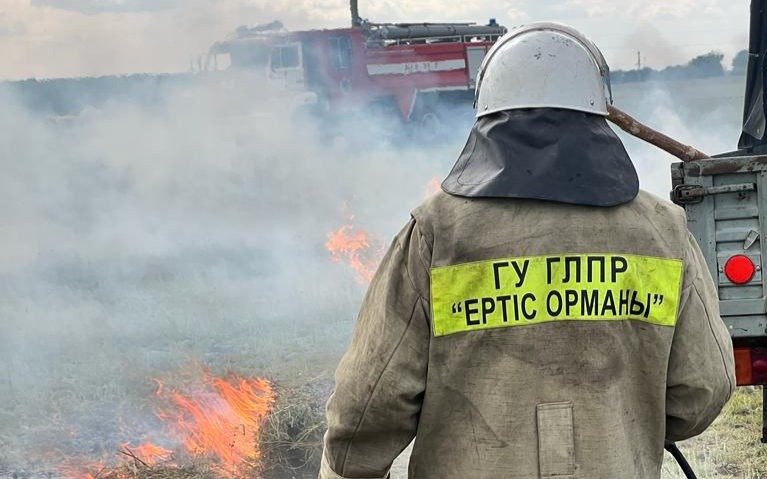 В лесных хозяйствах на Иртыше недостаточно ресурсов для борьбы с пожарами