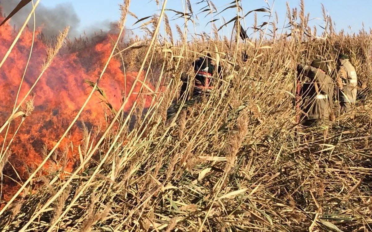 Пожар в природном резервате «Акжайык»: Атырау накрыло дымом