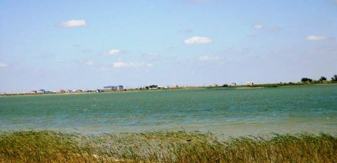 Временно запрещено купание в озере Камысколь в Атырауской области