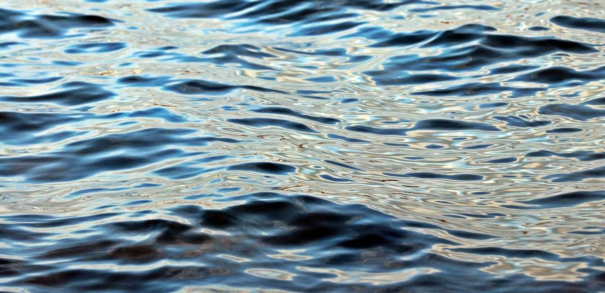 Природоохранные попуски вернули воду в озера Караколь и Сулуколь — впервые за 10 лет