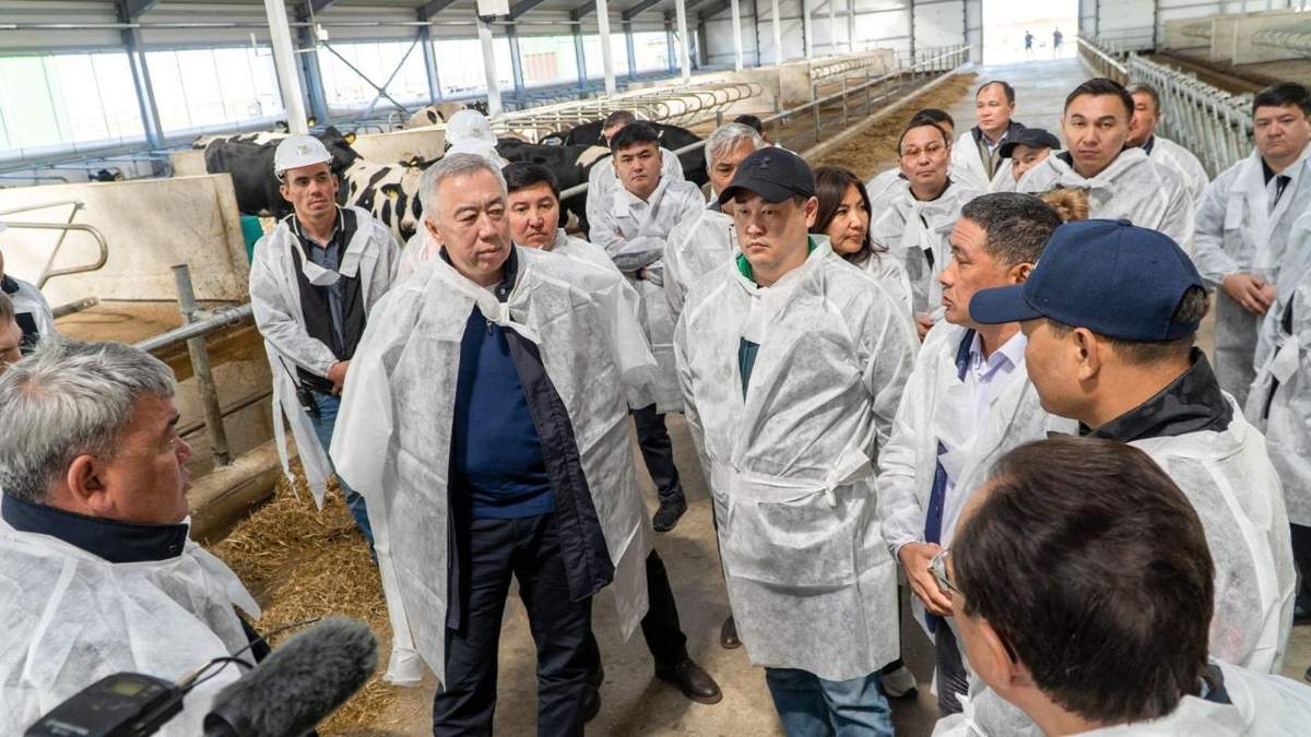 Казахстан выстраивает сквозную модель в животноводстве: от фермы до экспорта