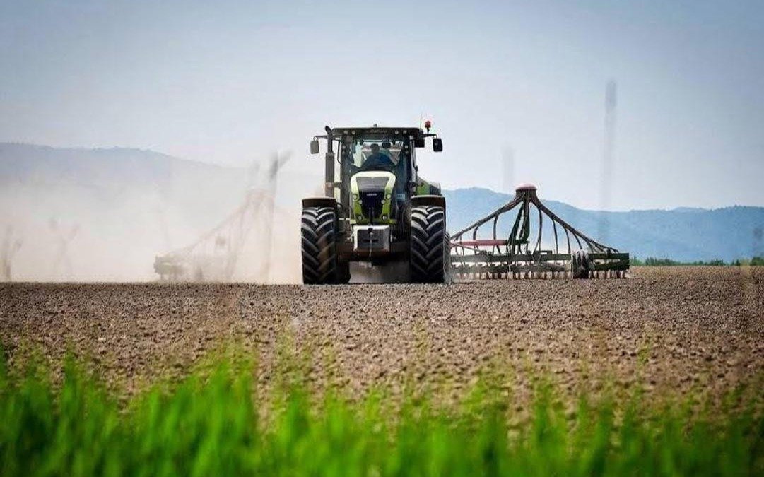 Турция усиливает аграрную инфраструктуру