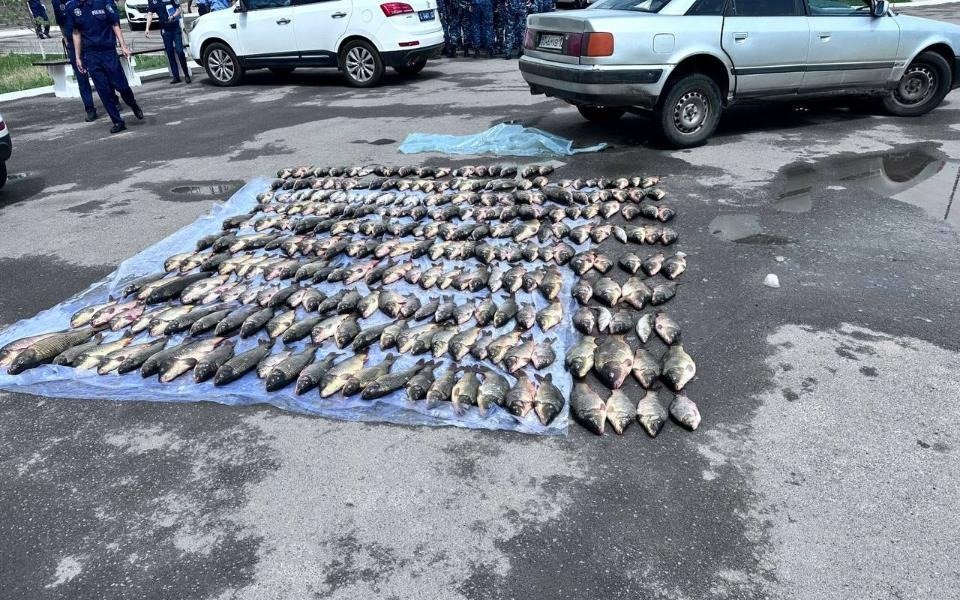 Банда браконьеров промышляла на Сырдарье и Шардаринском водохранилище