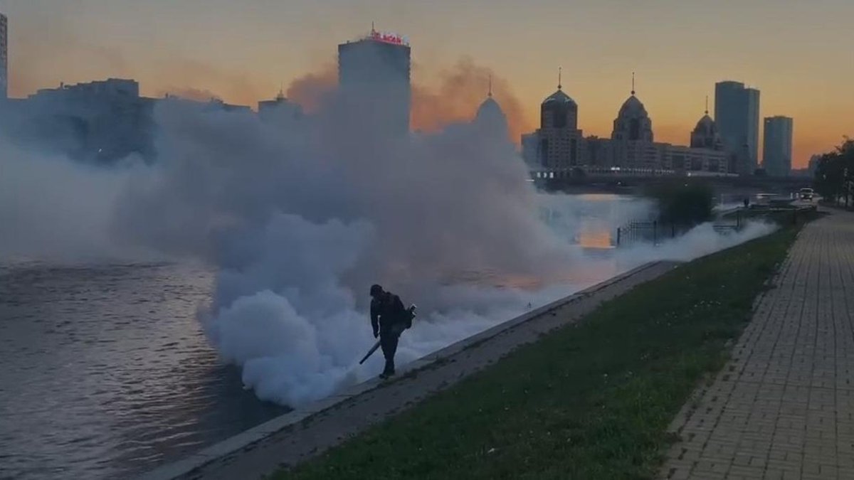 Борьба с комарами и мошками: в Астане обработали 300 водоемов