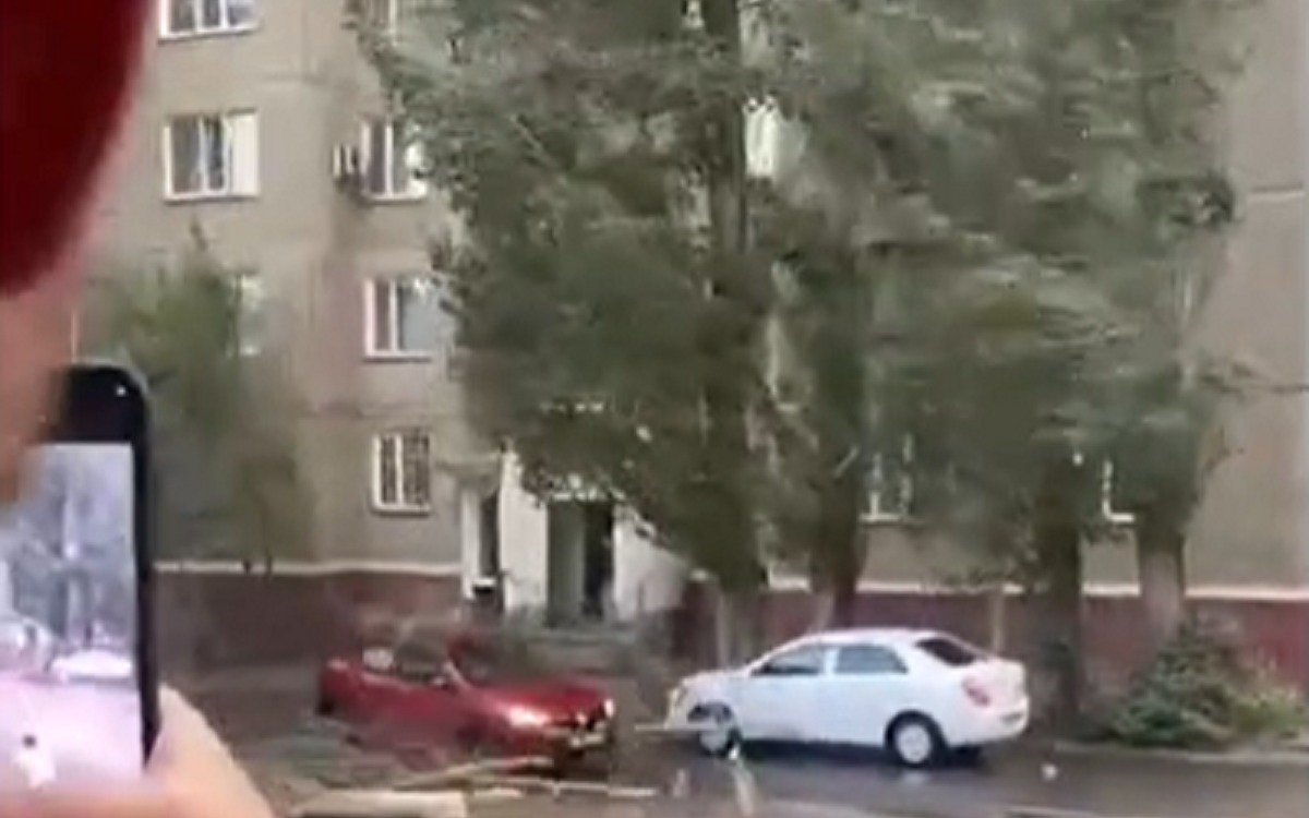 Женщину насмерть проткнуло упавшим деревом в Павлодарской области