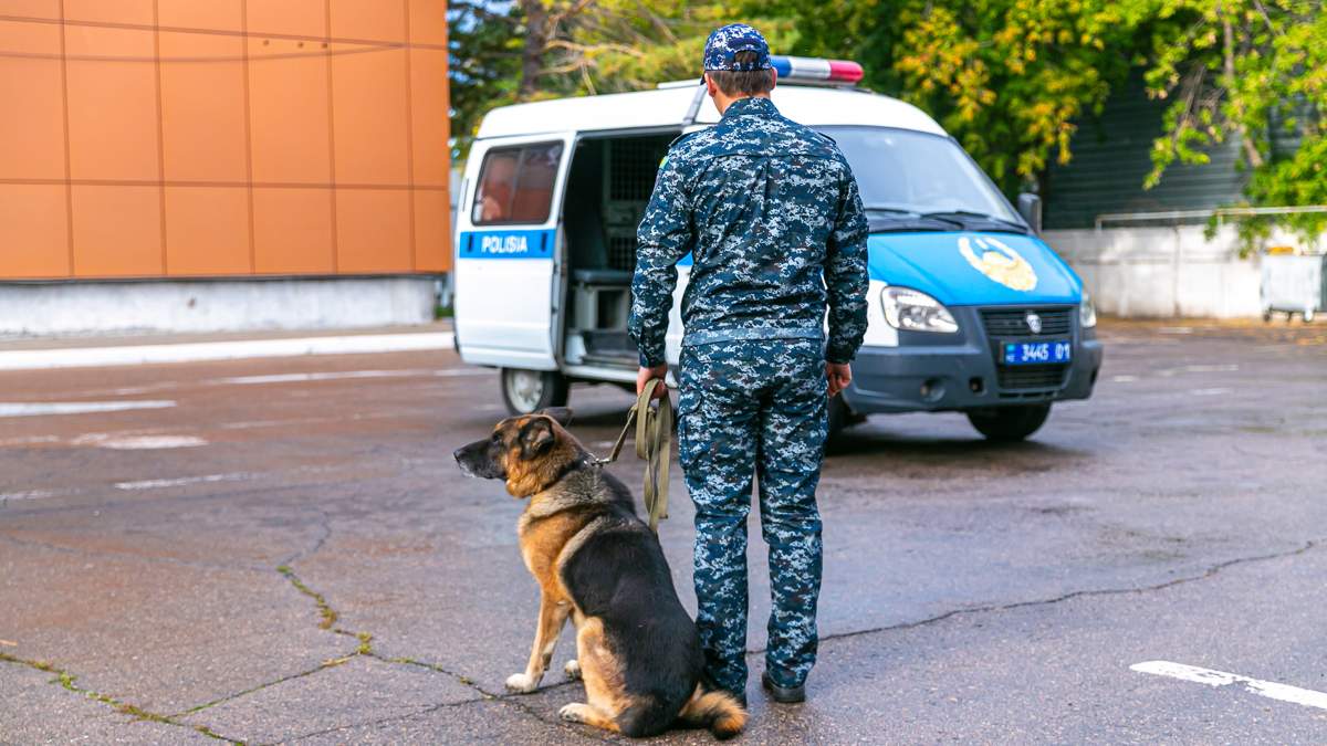 Почему в Жамбылской области преступлений стало больше, пояснили в полиции