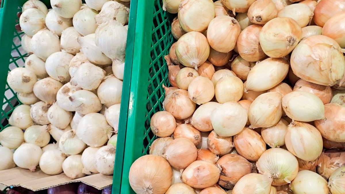 Овощами из южных областей страны стабилизируют цены на продукты в Костанае
