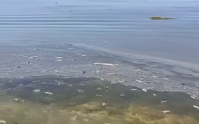 Масляные пятна и мусор обнаружили на поверхности моря в Актау