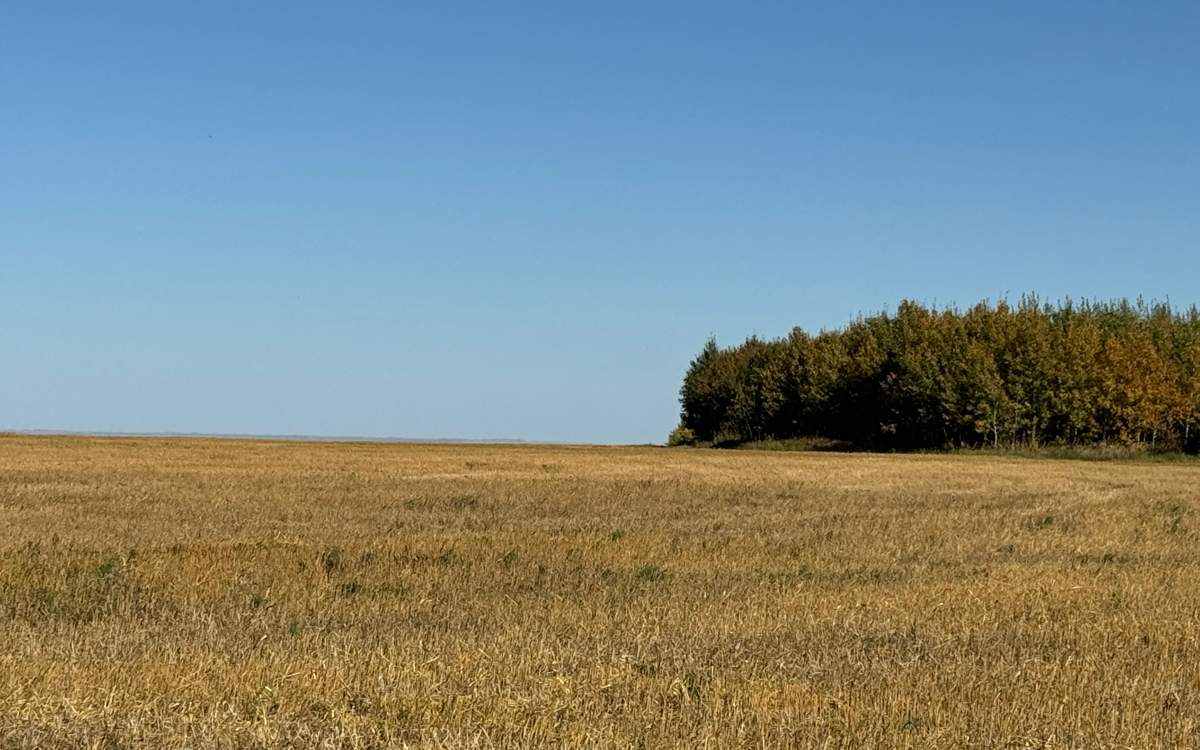 В Казахстане оцифровано 100% сельхозугодий