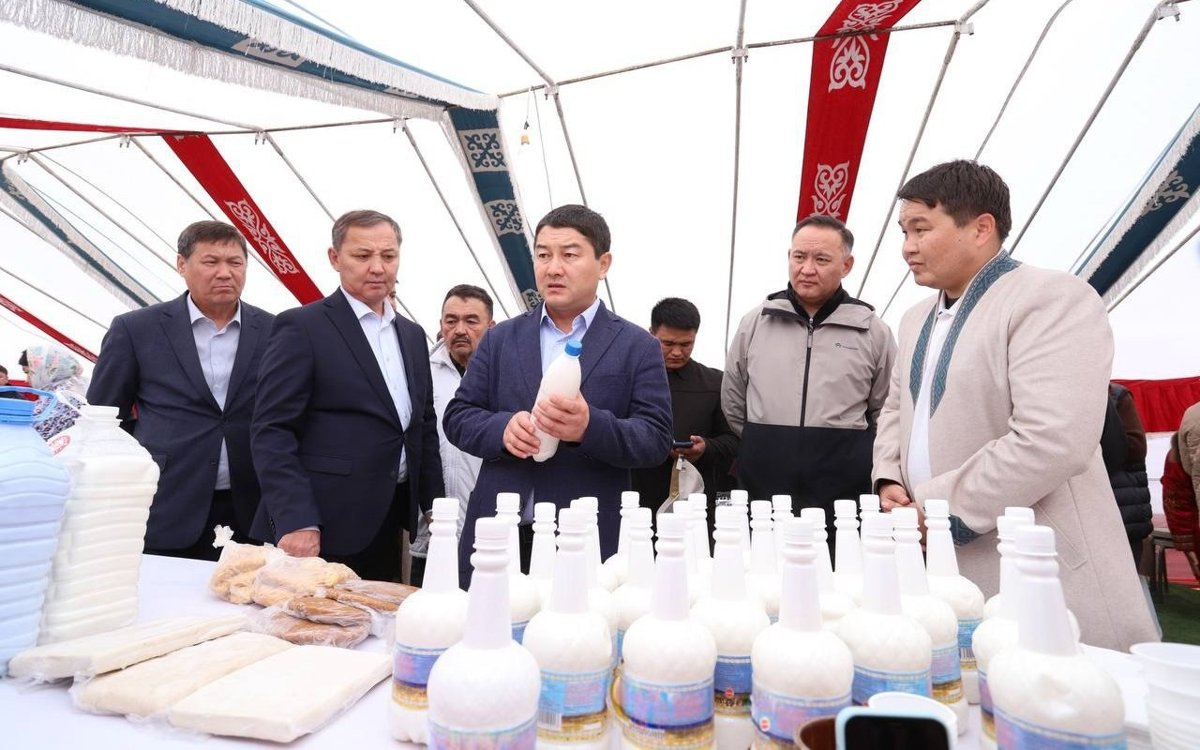 Ақ Мая fest: как шубат может стать новым брендом Мангистау