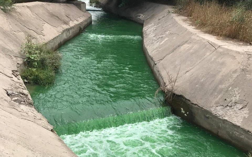 В-Алматы-выяснили-причину-окрашивания-воды-в-реке-Каргалы