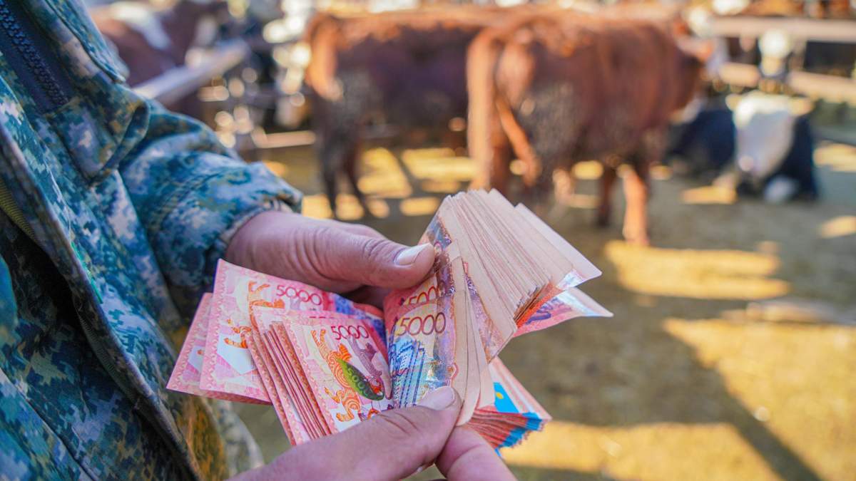 Почти 100 млн субсидий на скот похитили в Костанайской области
