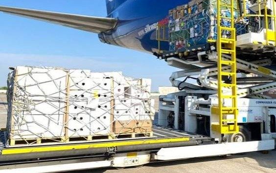 Национальную грузовую авиакомпанию запустят в 2026 году