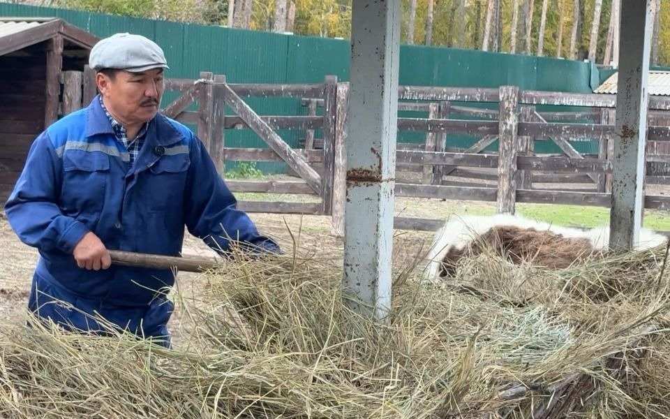 Повелитель-медведей-и-бизонов-работает-в-зоосаде-Бурабай