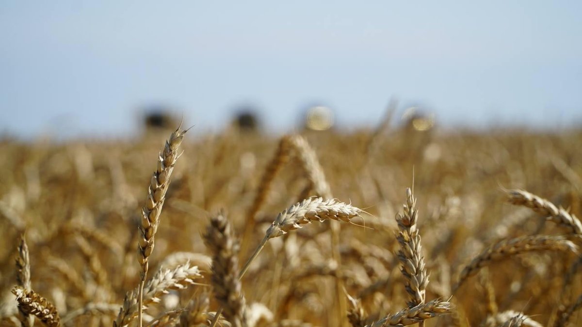 Объем производства сельхозпродукции в Казахстане увеличился в 2,5 раза