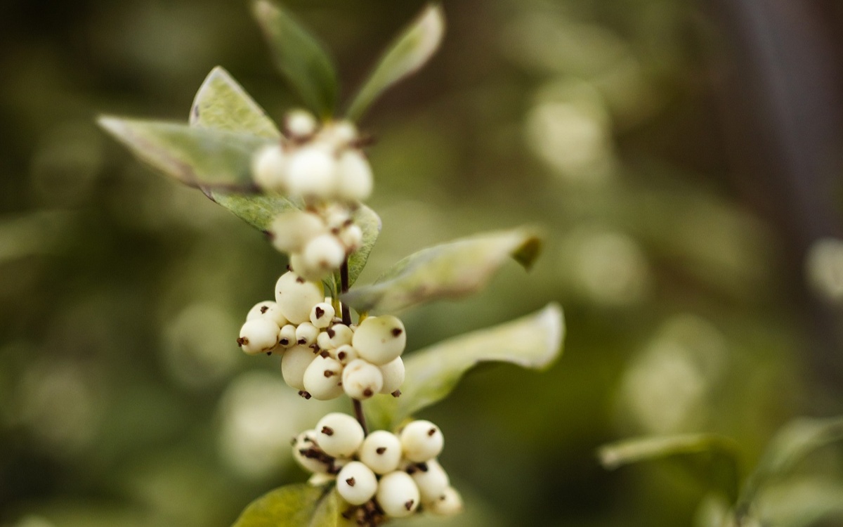 Штормовое предупреждение объявили почти во всех регионах Казахстана 29 октября