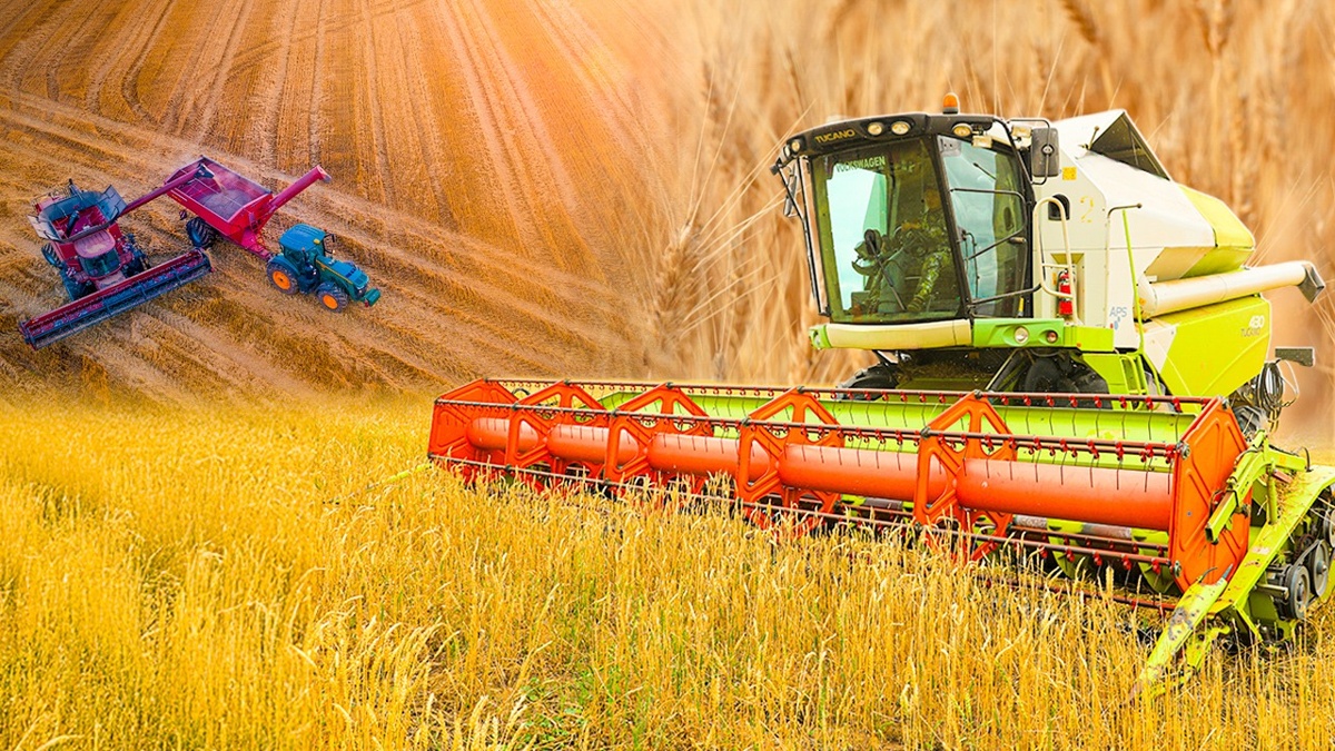 Как проходит уборочная кампания 2025 года в Казахстане