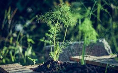 250 га под огород: в Акмолинской области выявлены нарушения земельного законодательства