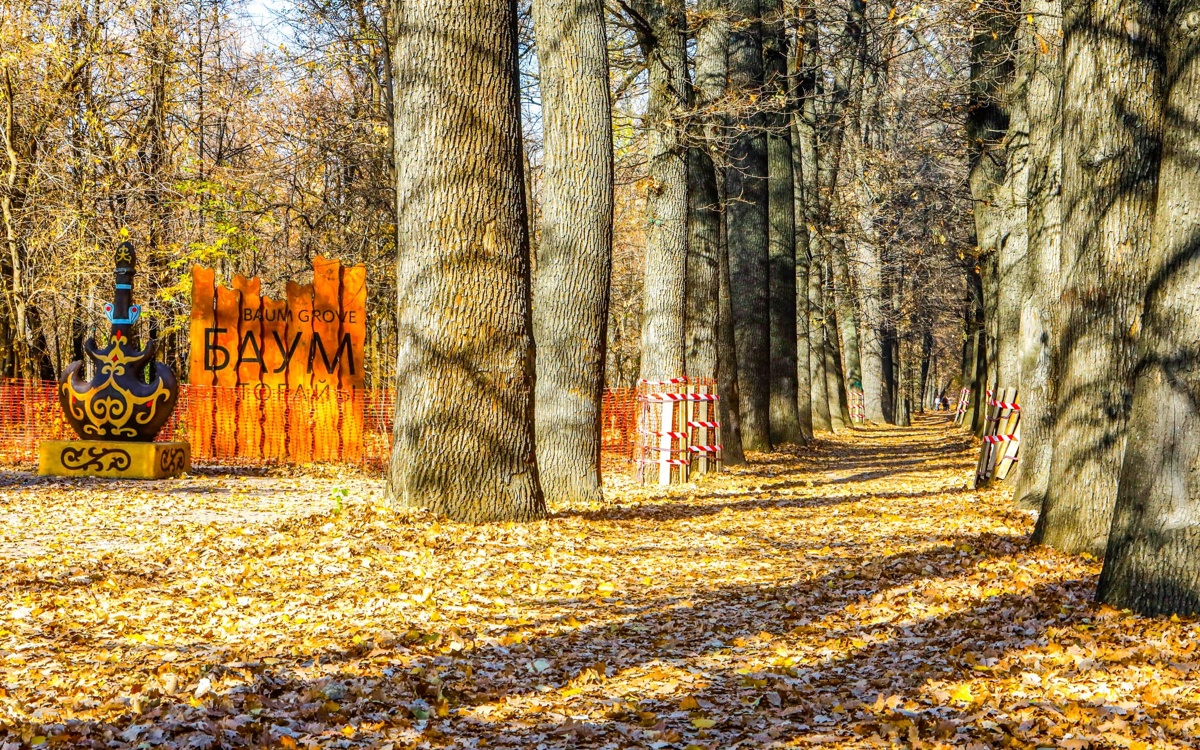 Вырубка деревьев, укладка дорожек: во что превращают рощу Баума в Алматы