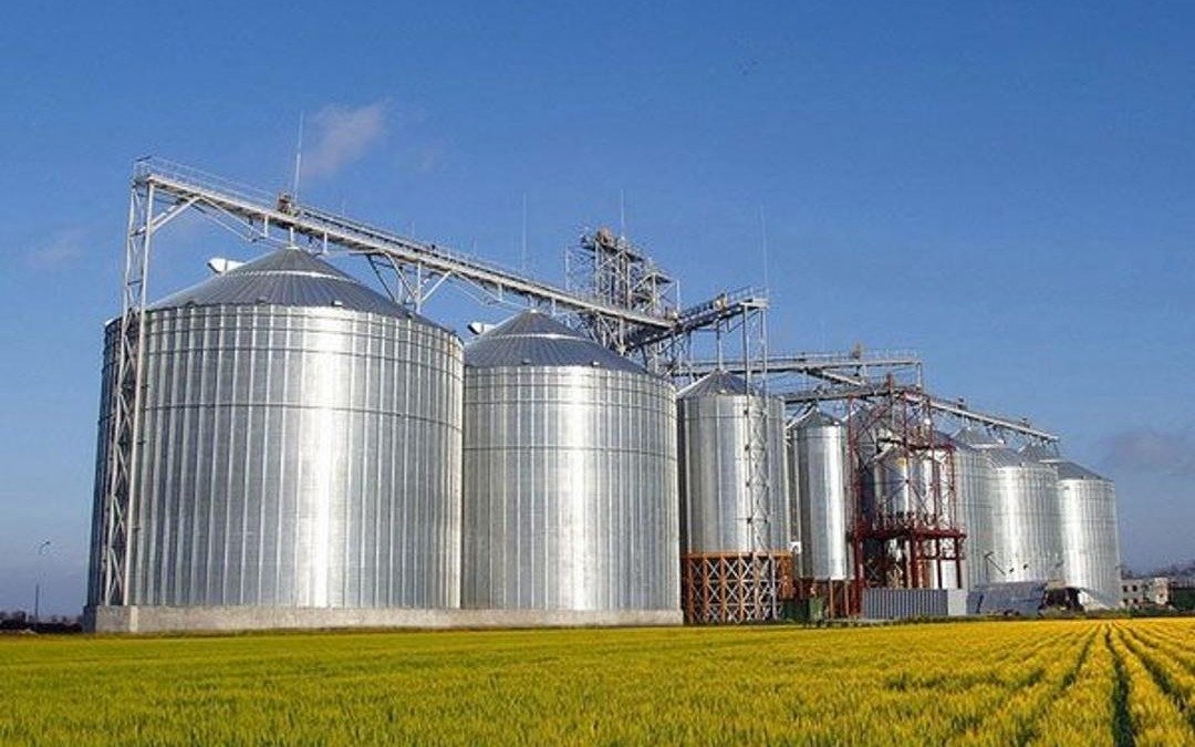 KGIR-2025: Швейцарская компания инвестирует более 700 млн долларов в АПК Казахстана